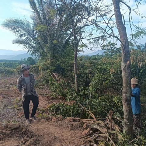 东河镇亚要村处理土地纠纷调解一事