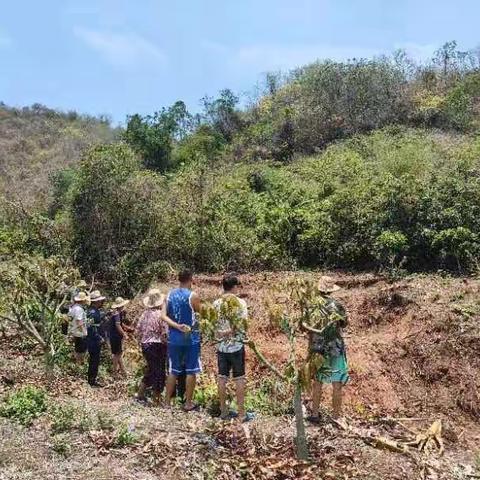 东河镇亚要村调解土地矛盾纠纷一事