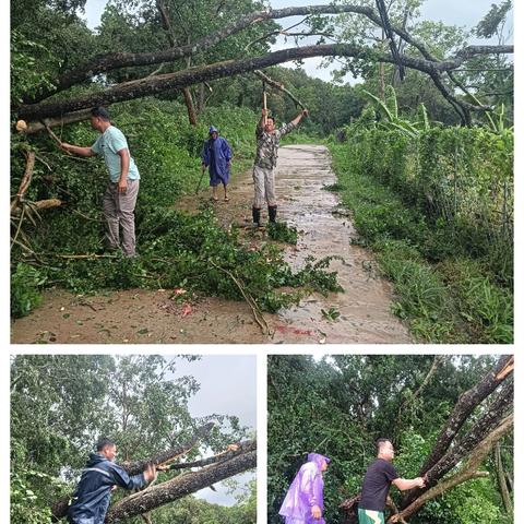 亚要村开展“党群同心 共复家园”主题党日