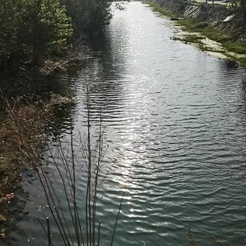 艳遇滠水