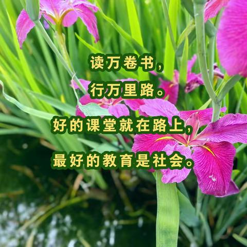 【探秘洛邑古城 体验陶瓷艺术】宜阳白杨镇漫流学校研学活动