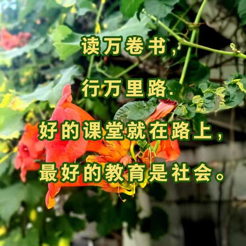【体验陶瓷艺术 探秘洛邑古城】宜阳县白杨镇东庄学校开展研学实践活动