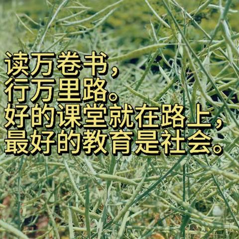 【体验陶瓷艺术  探秘洛邑古城】宜阳县白杨镇五区学校开展研学社会实践活动