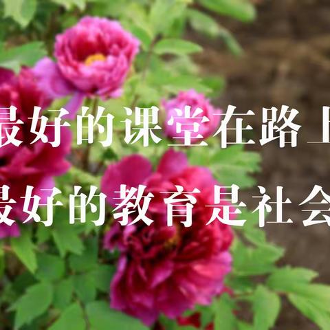 【探秘科技 助梦未来】宜阳县思源实验学校开展研学活动