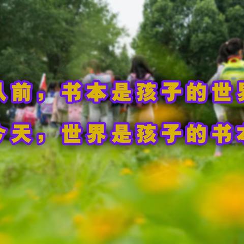 研学路上探科技，知行合一筑梦想——宜阳县盐镇镇第一初级中学洛阳科技馆与未来城研学纪实