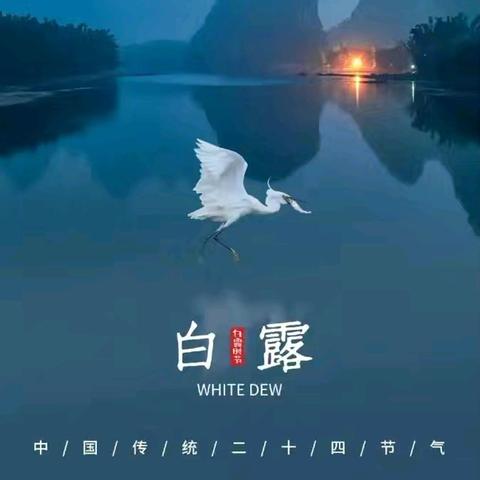 白露至，秋意浓——西泽北幼儿园白露活动