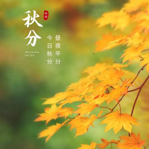 秋分至，秋意浓——西泽北幼儿园秋分活动