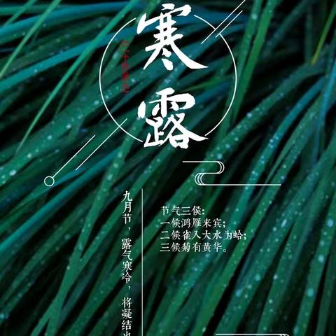 秋光向晚，遇见寒露——西泽北幼儿园寒露活动