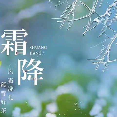 霜降秋色尽，童趣满深秋——西泽北幼儿园霜降活动