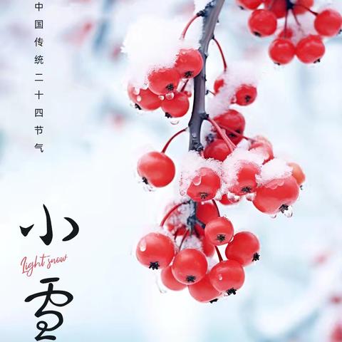 小雪到，冬始俏——西泽北幼儿园小雪活动