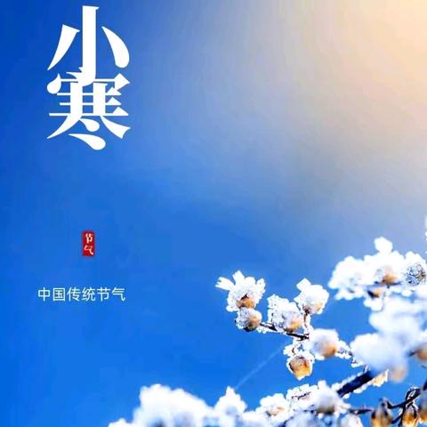 别样冬日，小寒亦暖——西泽北幼儿园小寒活动