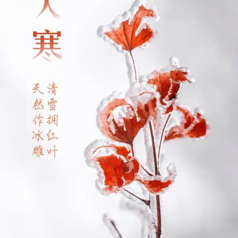大寒迎年。冬尽春生——西泽北幼儿园大寒活动