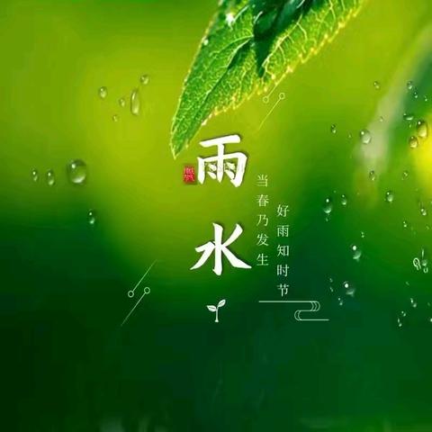 “雨”你相遇，细“水”长流——西泽北幼儿园雨水活动