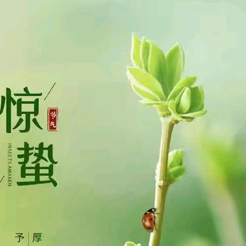 惊蛰响，万物长——西泽北幼儿园惊蛰活动