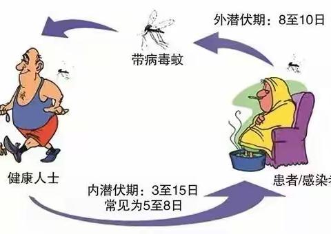 【卫生保健】“预”见夏天 、健康“童”行——巧与智幼儿园夏季传染病防控