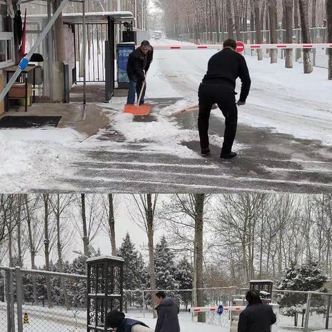 西闸村积极应对降雪天气 做好扫雪铲冰