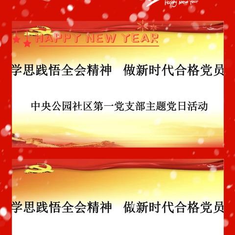 【丛台东街道】中央公园社区召开“学思践悟全会精神  做新时代合格党员”主题党日