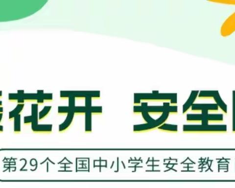 李庄小学开展“全国中小学生安全教育日”系列活动