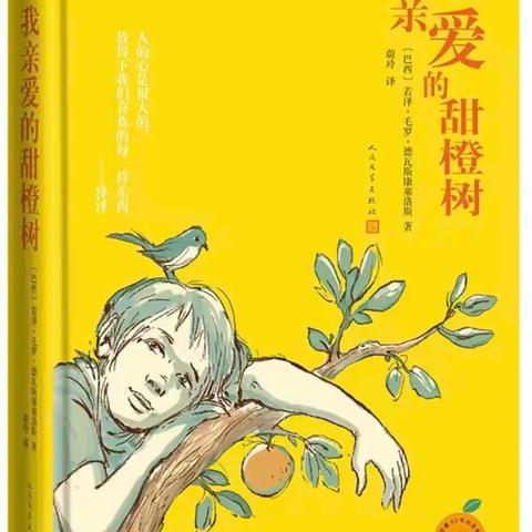 好书推介——《我亲爱的甜橙树》