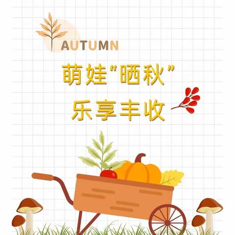 萌娃“晒秋”，乐享丰收——阳光壹号幼儿园大一班“晒秋”主题系列活动