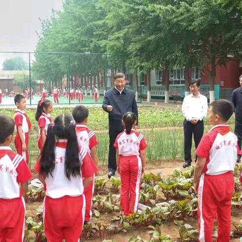 【中华美德我传承】汾阳市府学街小学209、210中队活动记录