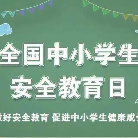 平安护成长 安全在心中——八道小学开展第二十九个中小学生安全教育日主题教育系列活动