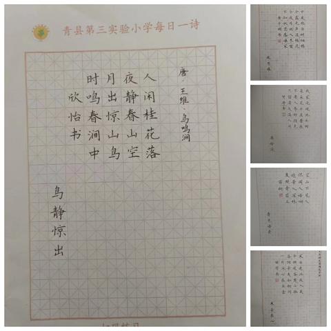 师赴书法研习会，点评墨宝韵味长——林庄子小学书法学习之程