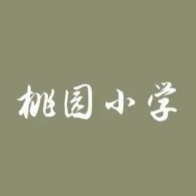 “金色童年·筑梦成长”—桃园小学六一节目汇演