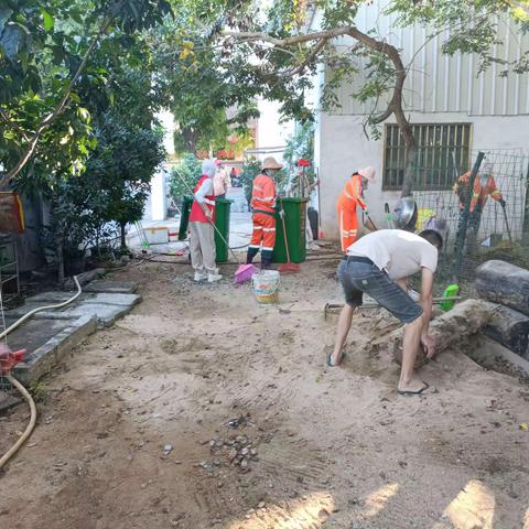 开展人居环境整治工作，助力“三创”工作