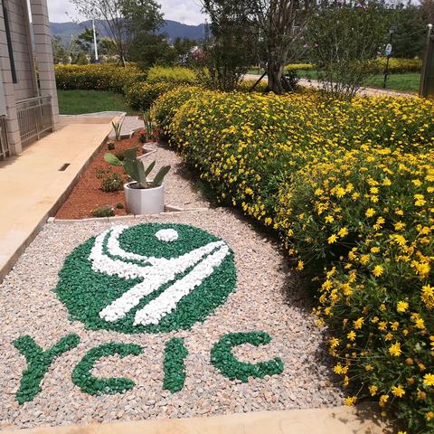 凝心聚力共筑绿美家园