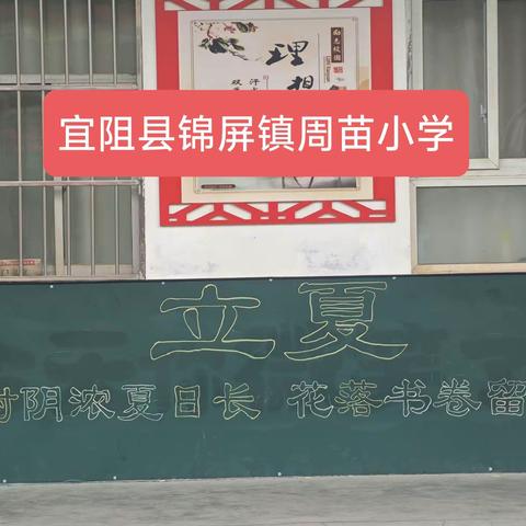 周苗小学教师朗诵展播2