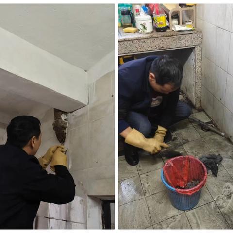 京溪物业部12月12日至14日工作简要