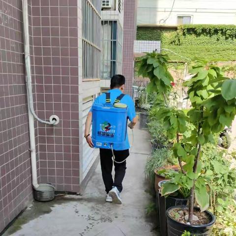 咸宁社区开展病媒生物防制工作