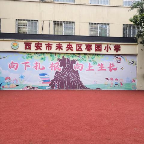 【枣园小学餐厅】枣园餐厅  执行规范  从点滴开始