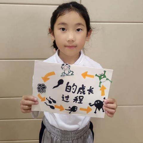 小蝌蚪生长记