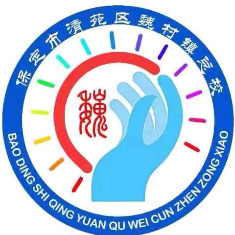 挥拍追梦，青春飞扬——魏村镇总校小学匹克球比赛纪实
