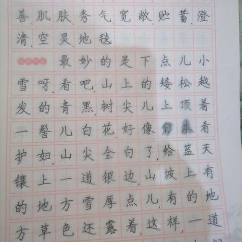六四班第一周语文作业反馈