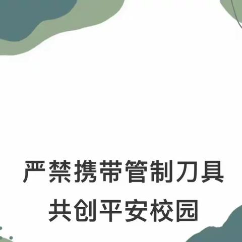 【洼兴镇中心学校】平安伴我行 构建和谐校园