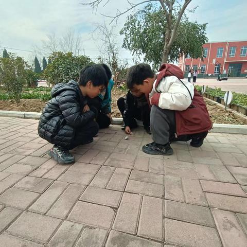 有序行走  分区活动——穆口小学学生课间活动