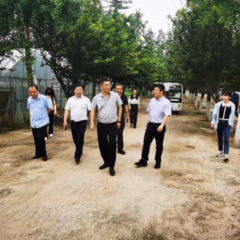 【沣东集团农业公司】耶军伟督导检查农业公司端午节前安全生产工作