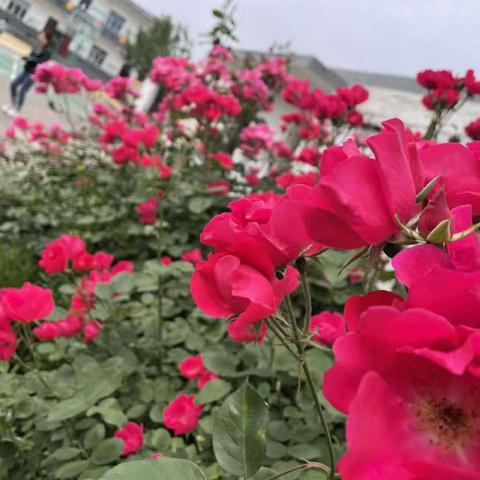 快乐童年  扬帆起航——豆三小学一年级招生宣传