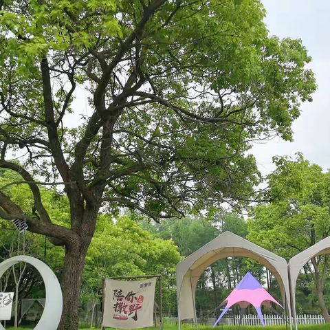 湖州小小兵夏令营，开启暑假灵活托娃之旅，天数自选，时间自由，项目丰富