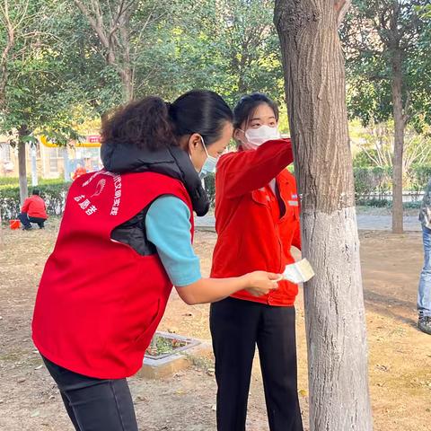 志愿我先行，粉刷护树木