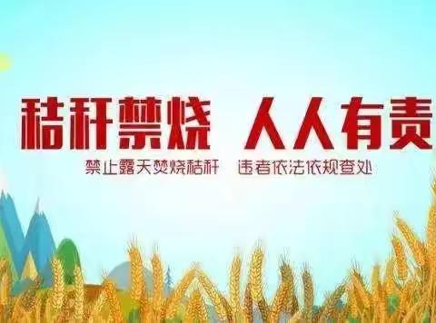 赵康镇秋收秸秆禁烧禁烧倡议书