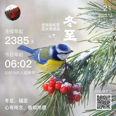 冬至东湖赏菊
