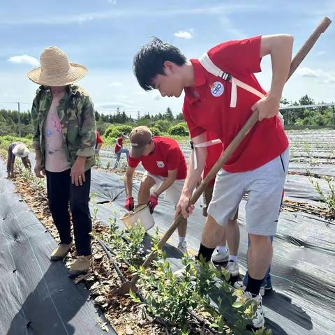 “万名大学生进千站暑期志愿行动”走进林塘村蓝莓基地