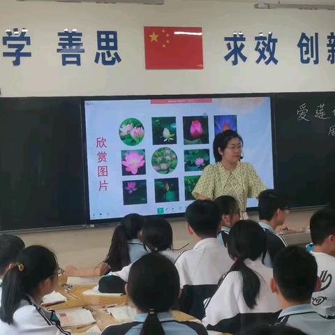 枣庄十三中语文组两轮三次课堂教学展示之《爱莲说》