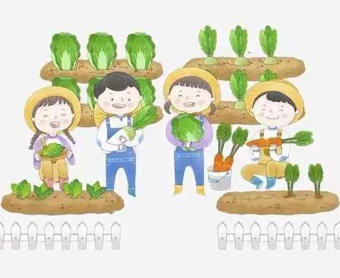 “小菜园👩‍🌾大乐趣”