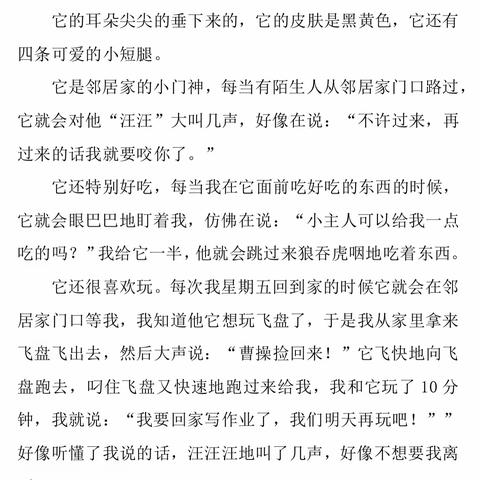 不一样的小狗🐶——三年级孩子们笔下的狗