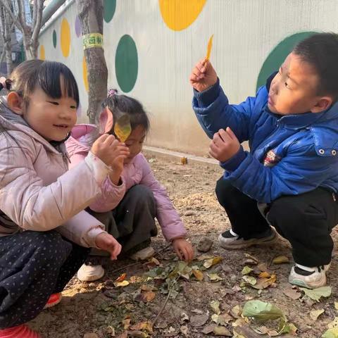 【课程故事】你好，冬天